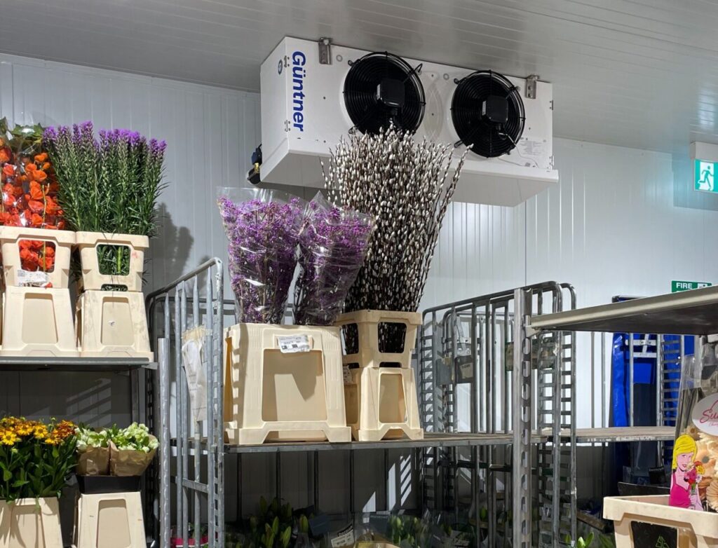 Chiller-Cold-Room-for-Florist-20-1280x977