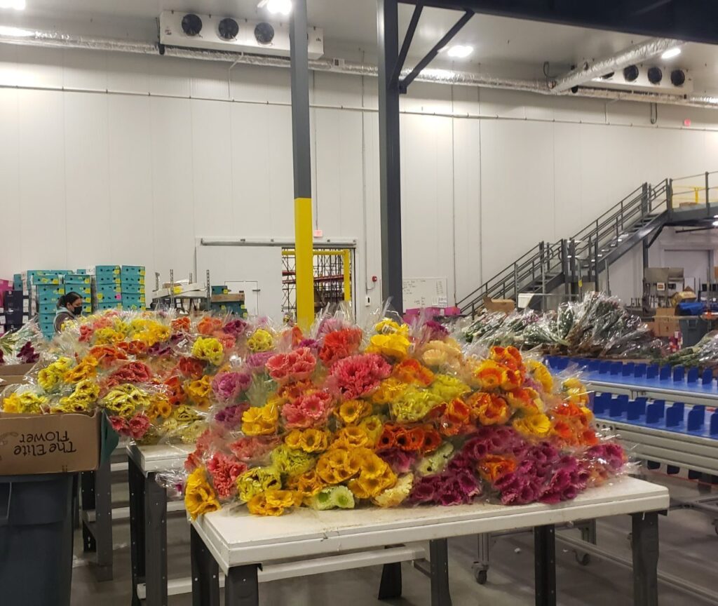 scout-cold-logistics-national-fl-1280x1080